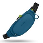 pacsafe