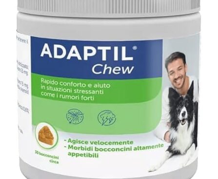 prodotti del momento
