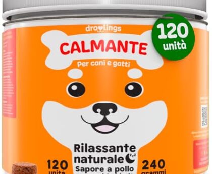 prodotti del momento