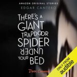 audible amazon