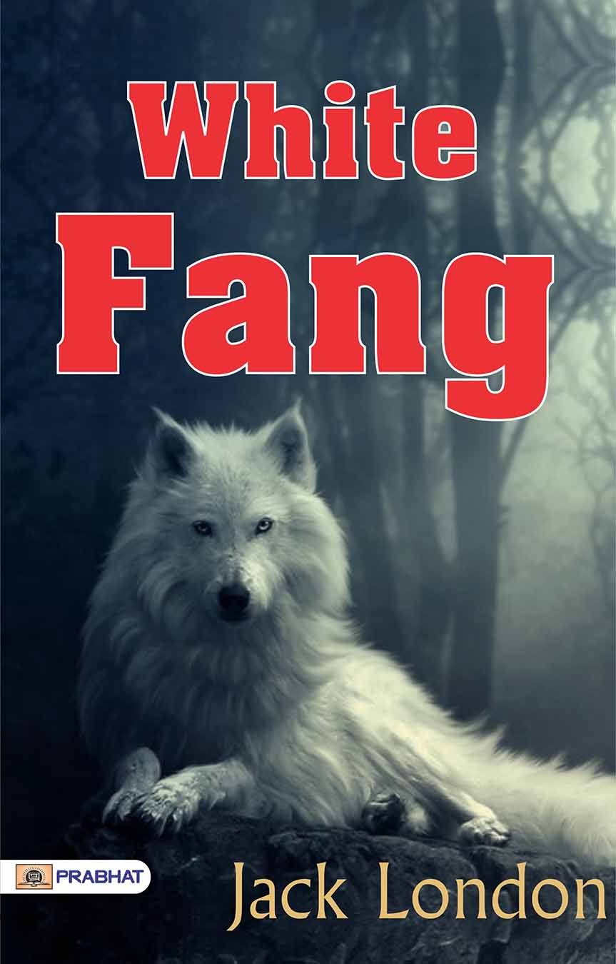 bestseller amazon