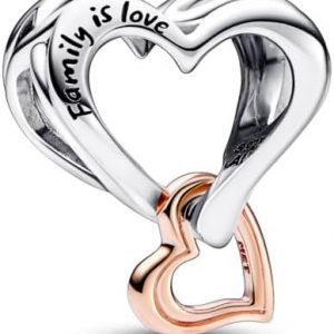 PANDORA Moments Sterling Silver 14k Rose Gold Plated Two Tone Charm