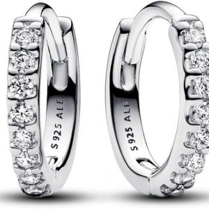 Pandora Timeless Earrings
