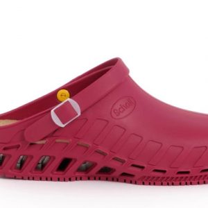 Scholl Clog Evo Unisex Adult Sanitary Clogs